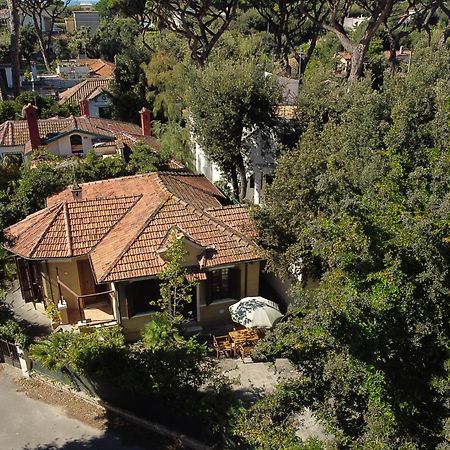 Exclusive Charming Villa - Free Parking 400 Mq Garden - Rome Airport - Roseto Villa Dream Fregenae Ngoại thất bức ảnh